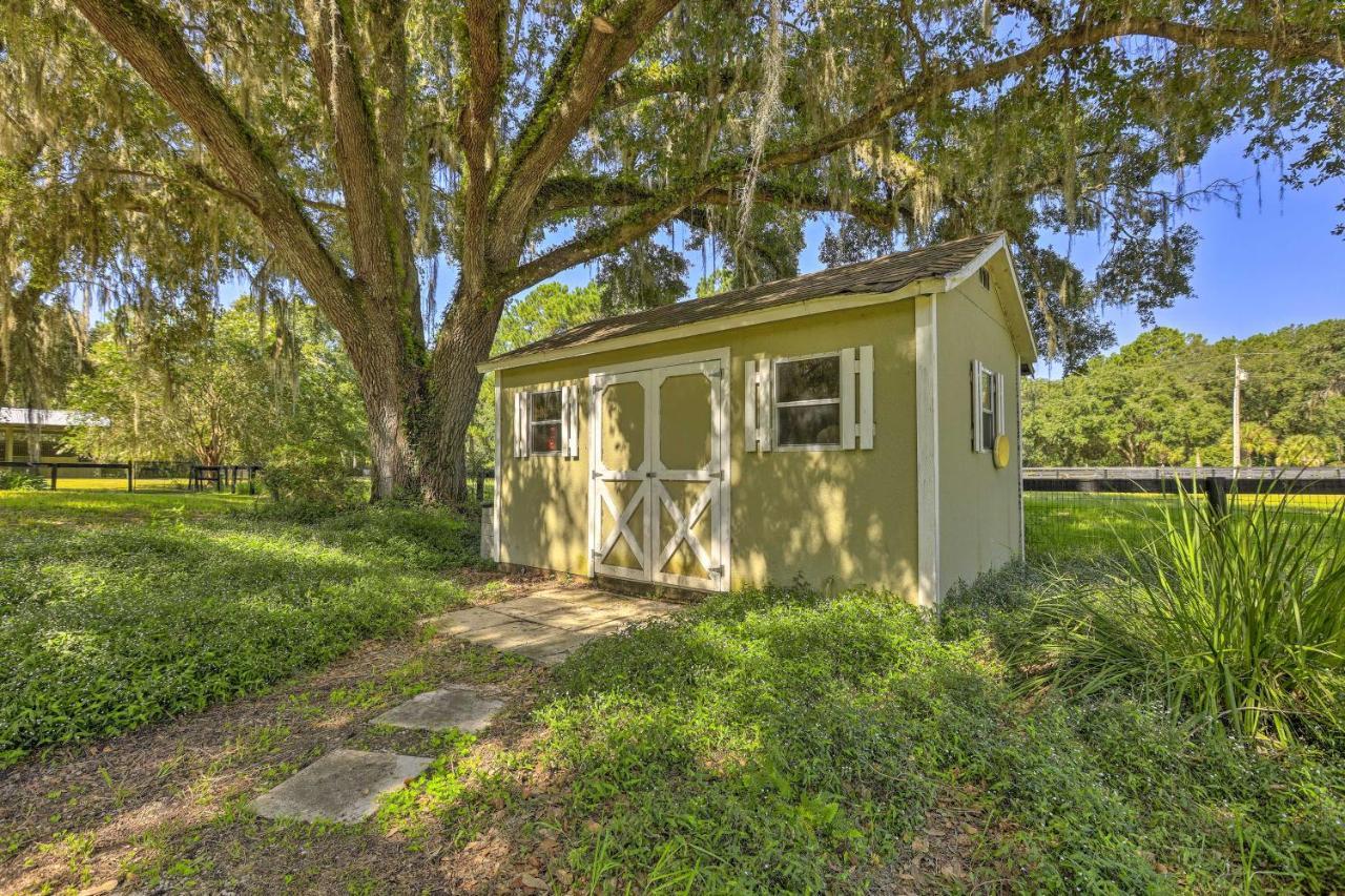 Pet-Friendly Home Close To Wec Ocala! Exteriör bild